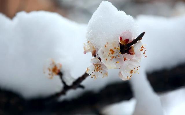 雪后恒宇